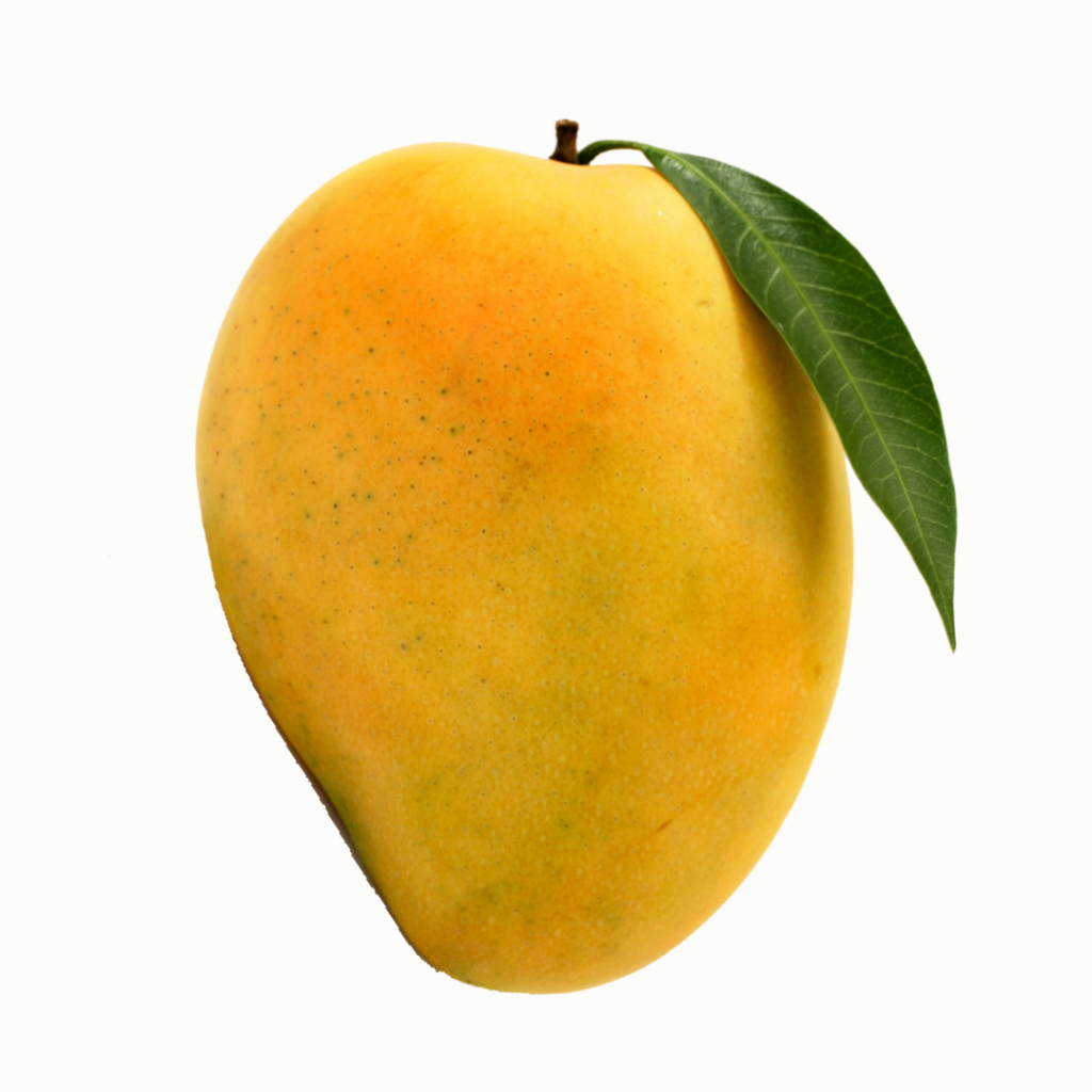 Best mango of unifresca